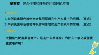 探究战略同盟国的意义与作用：国际关系中的重要角色和战略合作伙伴